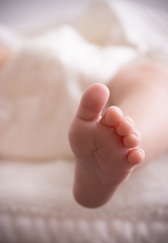 MP900448433 MP900448433