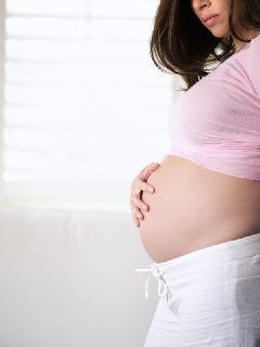 MP900443093 MP900443093